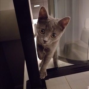 Meet your Posher, Alisha